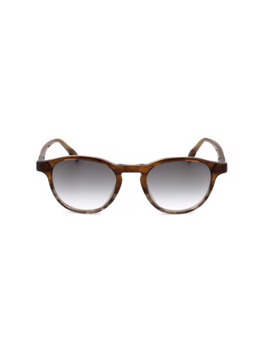 Sunglasses, Acetato, Havana, Hombre, Safilo