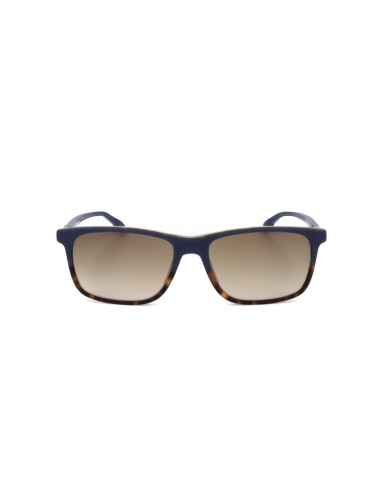 Safilo, hombre, acetato, azul