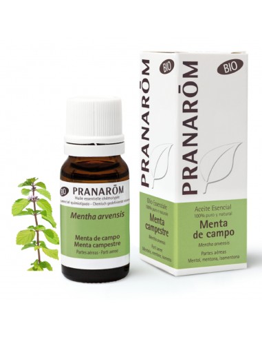 Pranarom Aceite Esencial Menta de Campo 10ml